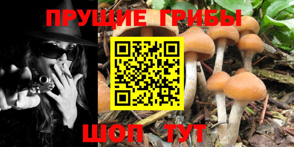 Новочебоксарск  Псилоцибиновые грибы ЛСД  Вход с VPN 